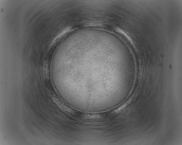 X0000086081403200704091249