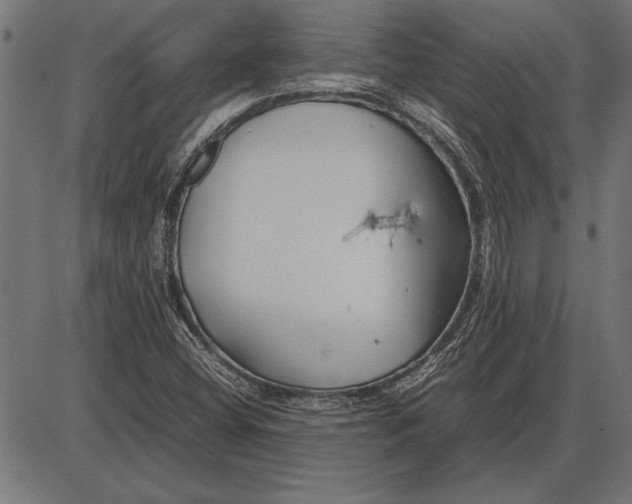 X0000086081404200704091249