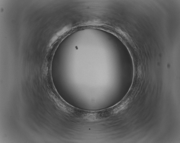 X0000086081406200704091249