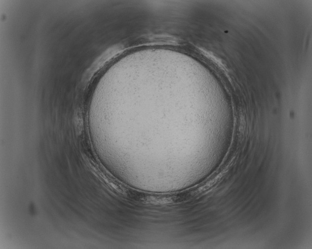 X0000086081407200704091249