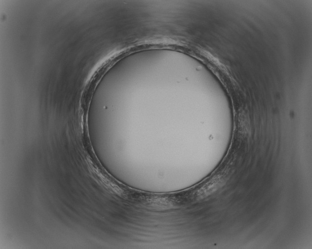 X0000086081408200704091249