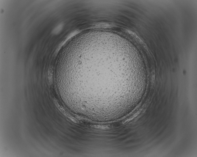 X0000086081409200704091249