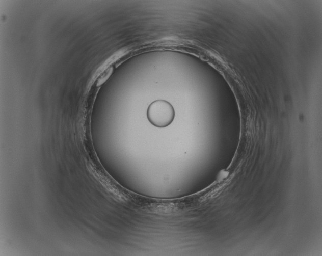 X0000086081410200704091249