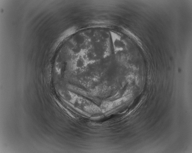 X0000086081411200704091249