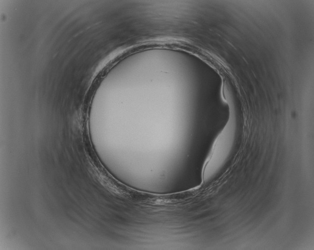 X0000086081412200704091249