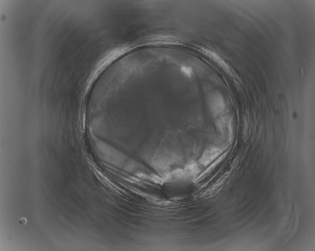 X0000086081413200704091249