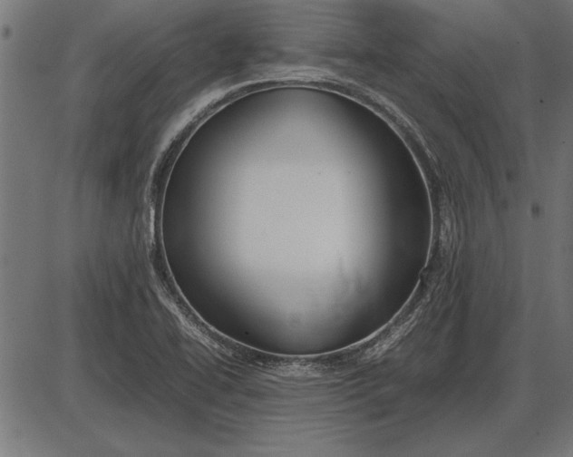 X0000086081414200704091249