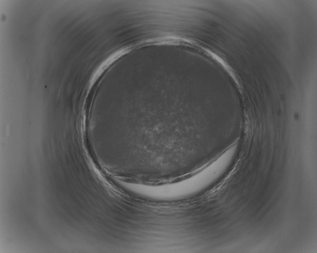 X0000086081418200704091249