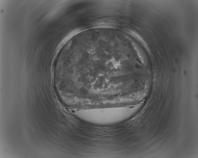 X0000086081419200704091249