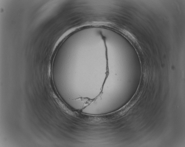 X0000086081420200704091249