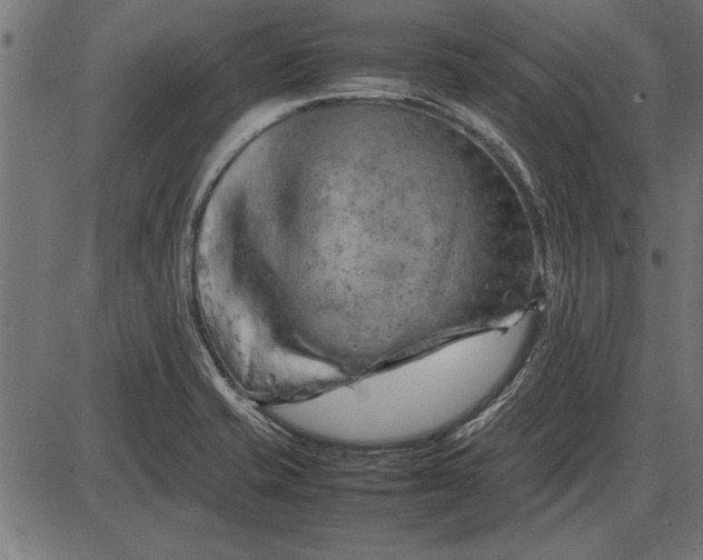 X0000086081421200704091249