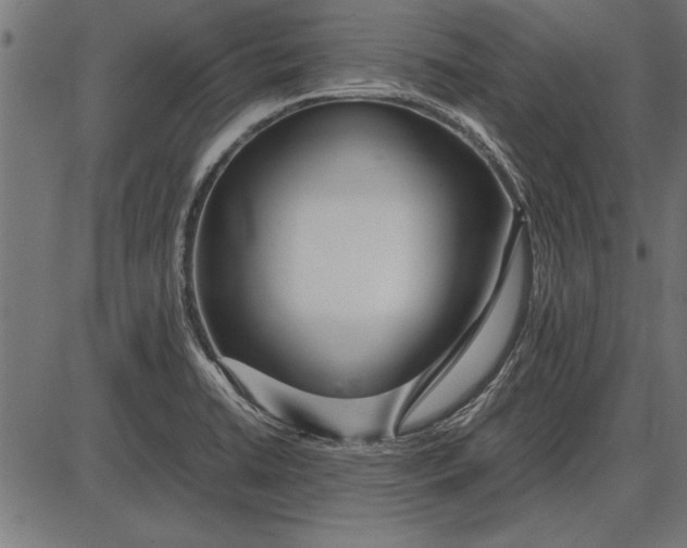 X0000086081422200704091249