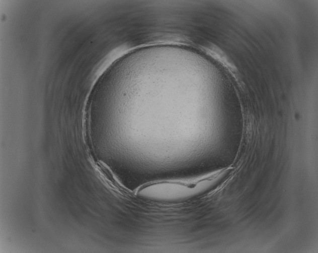 X0000086081423200704091249