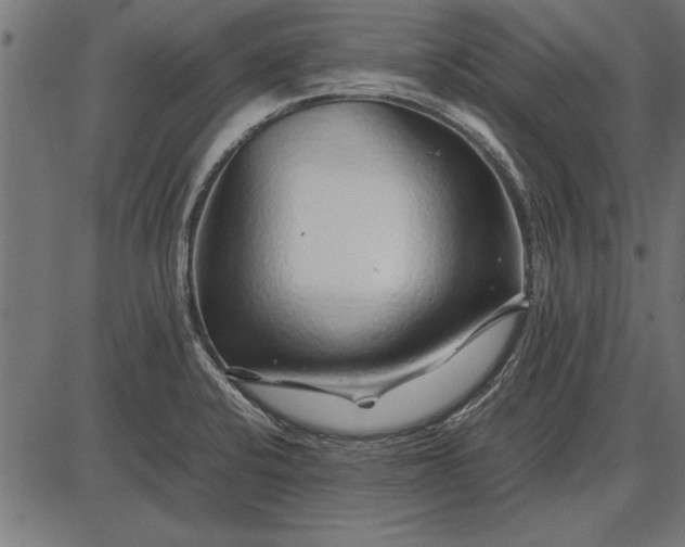 X0000086081424200704091249