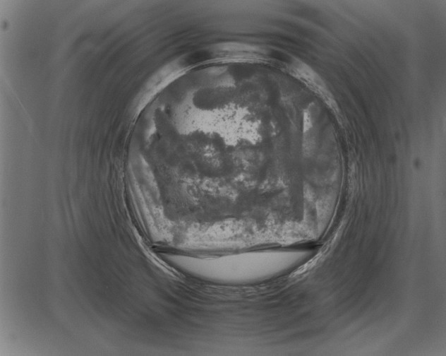 X0000086081425200704091249