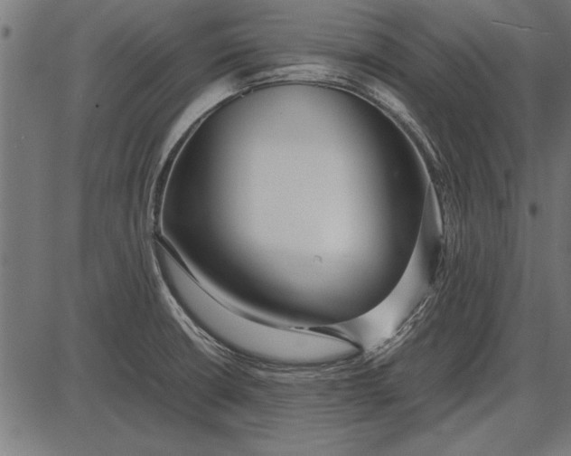 X0000086081426200704091249