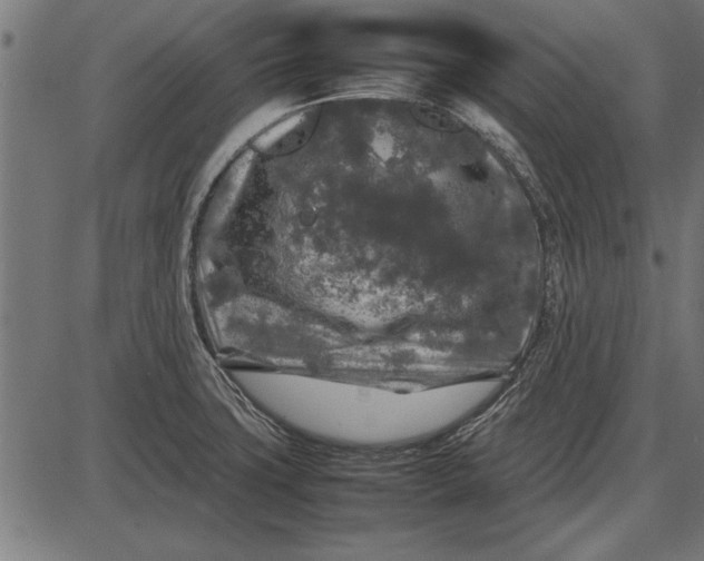 X0000086081427200704091249