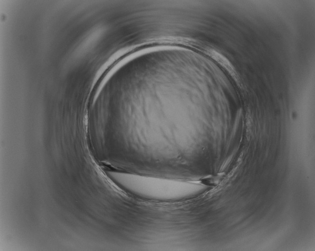 X0000086081428200704091249