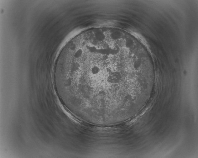 X0000086081429200704091249