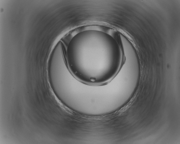 X0000086081430200704091249