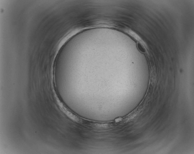 X0000086081431200704091249