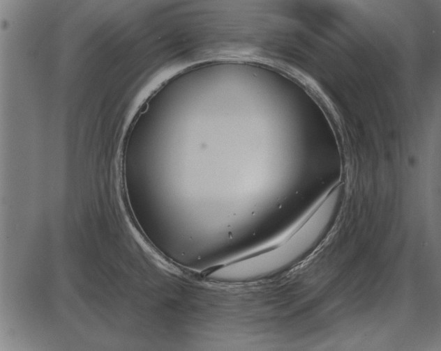 X0000086081432200704091249