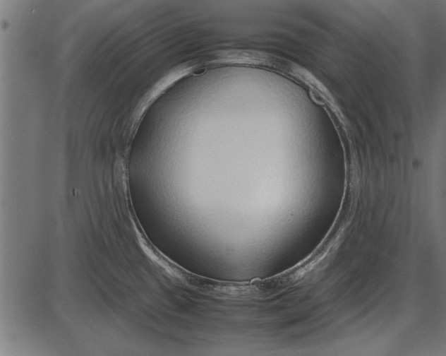 X0000086081433200704091249