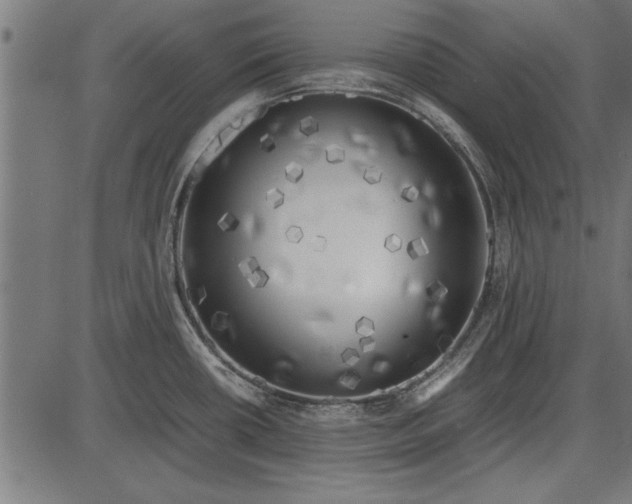 X0000086081434200704091250