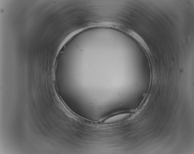 X0000086081436200704091250