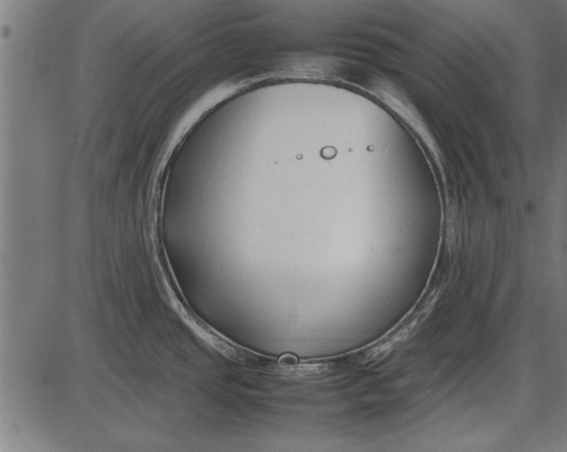 X0000086081437200704091250