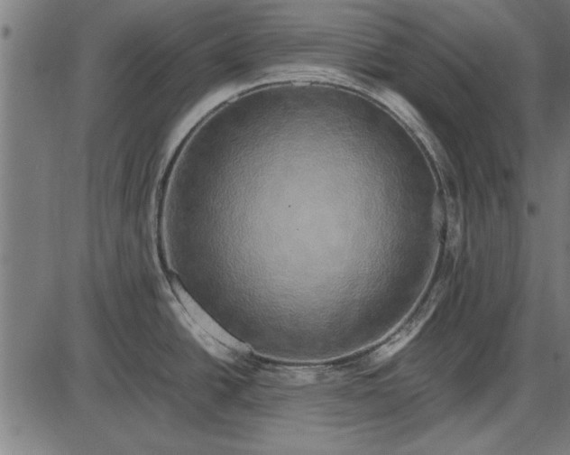 X0000086081438200704091250