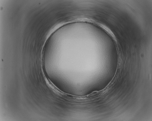 X0000086081439200704091250