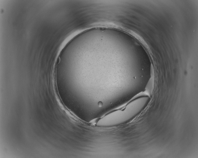 X0000086081440200704091250