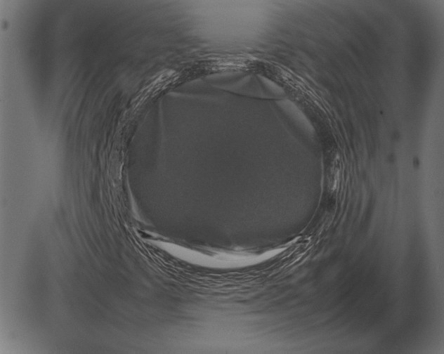 X0000086081441200704091249