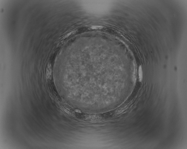 X0000086081443200704091249