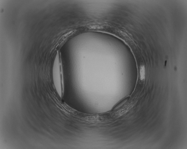 X0000086081444200704091249