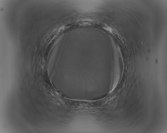 X0000086081445200704091249