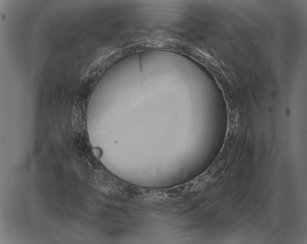 X0000086081446200704091249