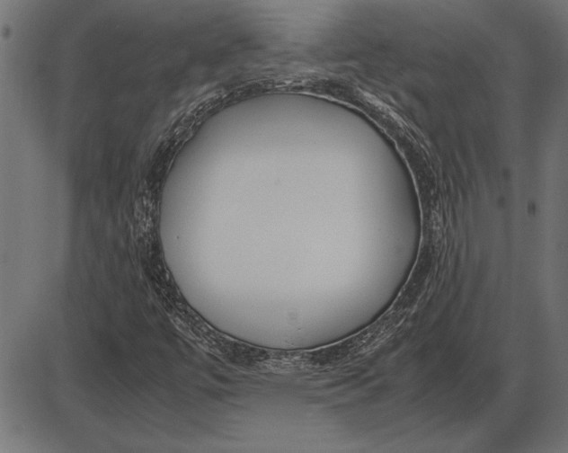 X0000086081447200704091249