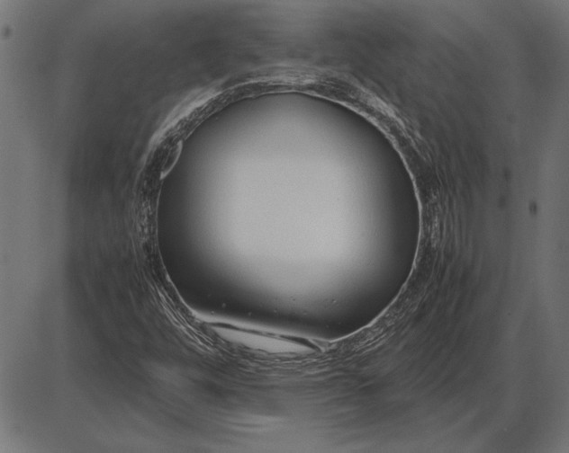 X0000086081448200704091249