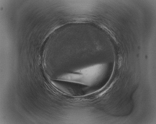 X0000086081449200704091249