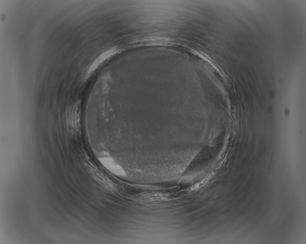 X0000086081450200704091249