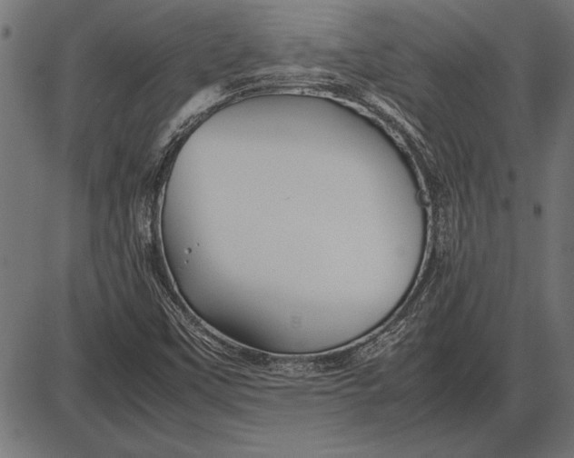 X0000086081451200704091249