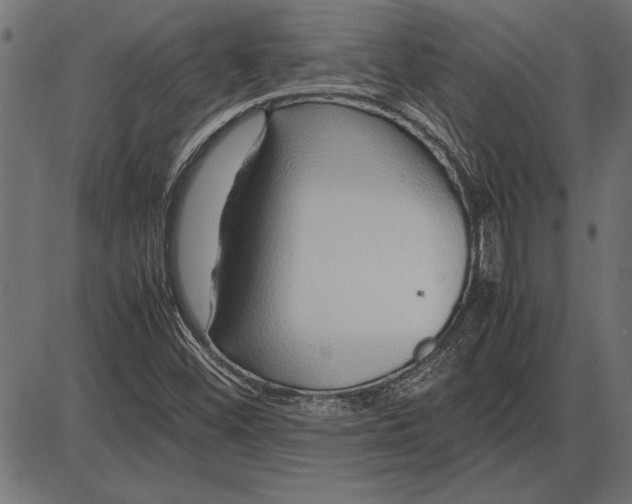 X0000086081452200704091249