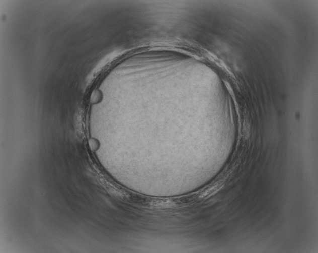 X0000086081454200704091249