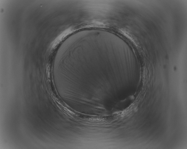 X0000086081455200704091249