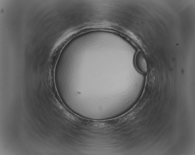 X0000086081456200704091249