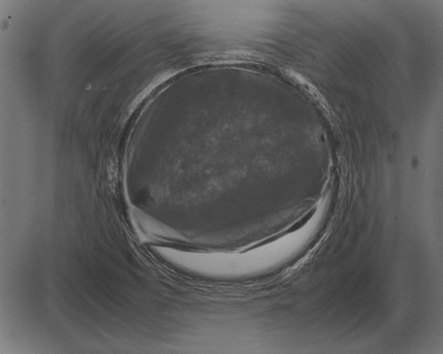 X0000086081457200704091249