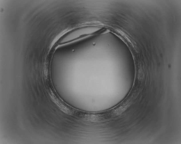 X0000086081458200704091249