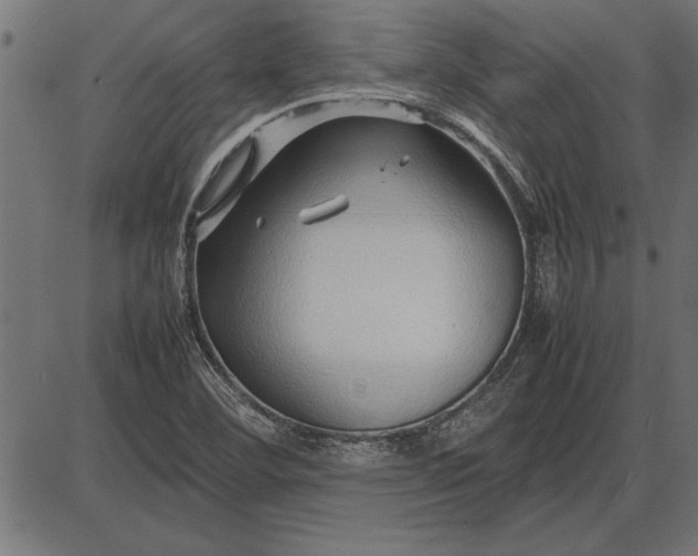 X0000086081460200704091248